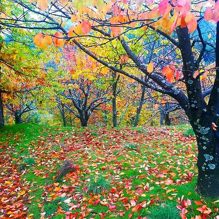 Albareilla By #Cherrygredos El Arenal  Buitenkant foto