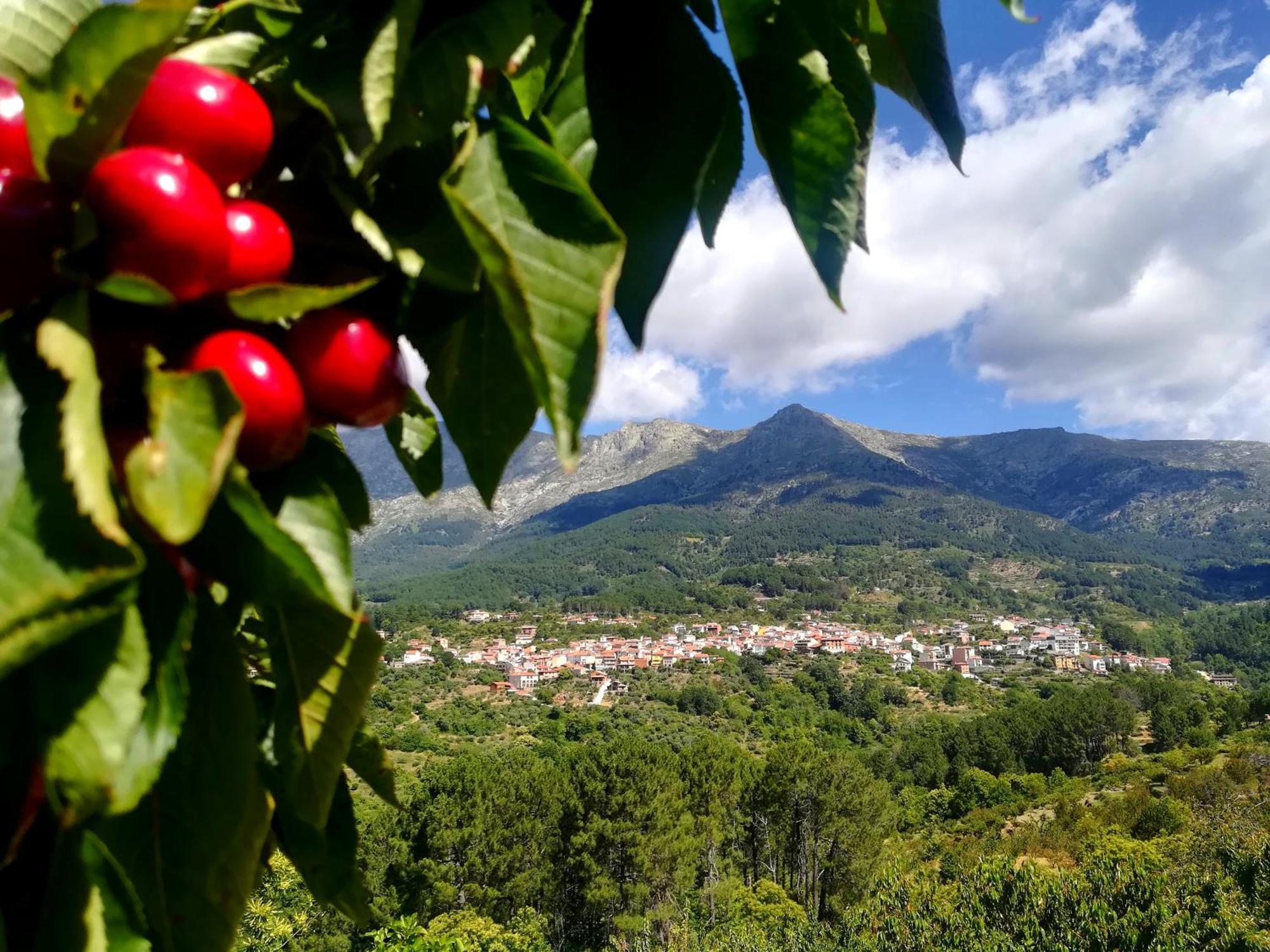 Albareilla By #Cherrygredos El Arenal  Buitenkant foto