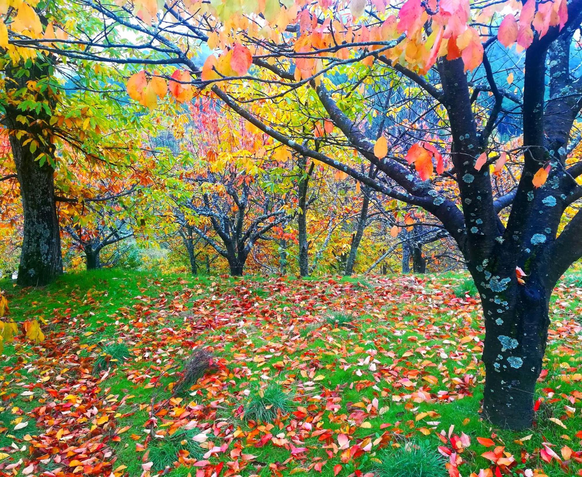 Albareilla By #Cherrygredos El Arenal  Buitenkant foto