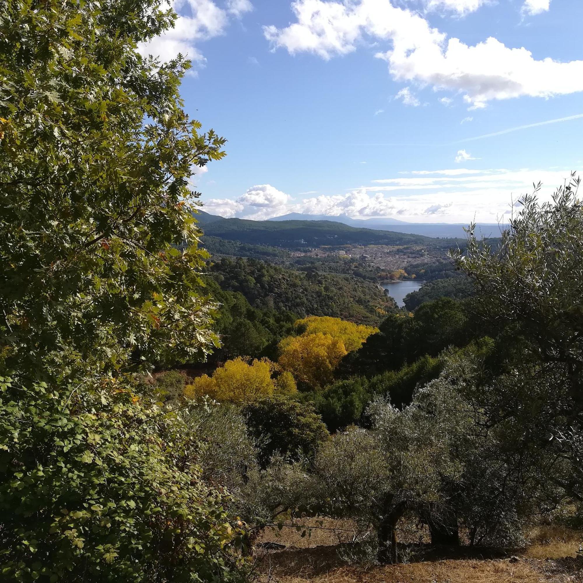 Albareilla By #Cherrygredos El Arenal  Buitenkant foto