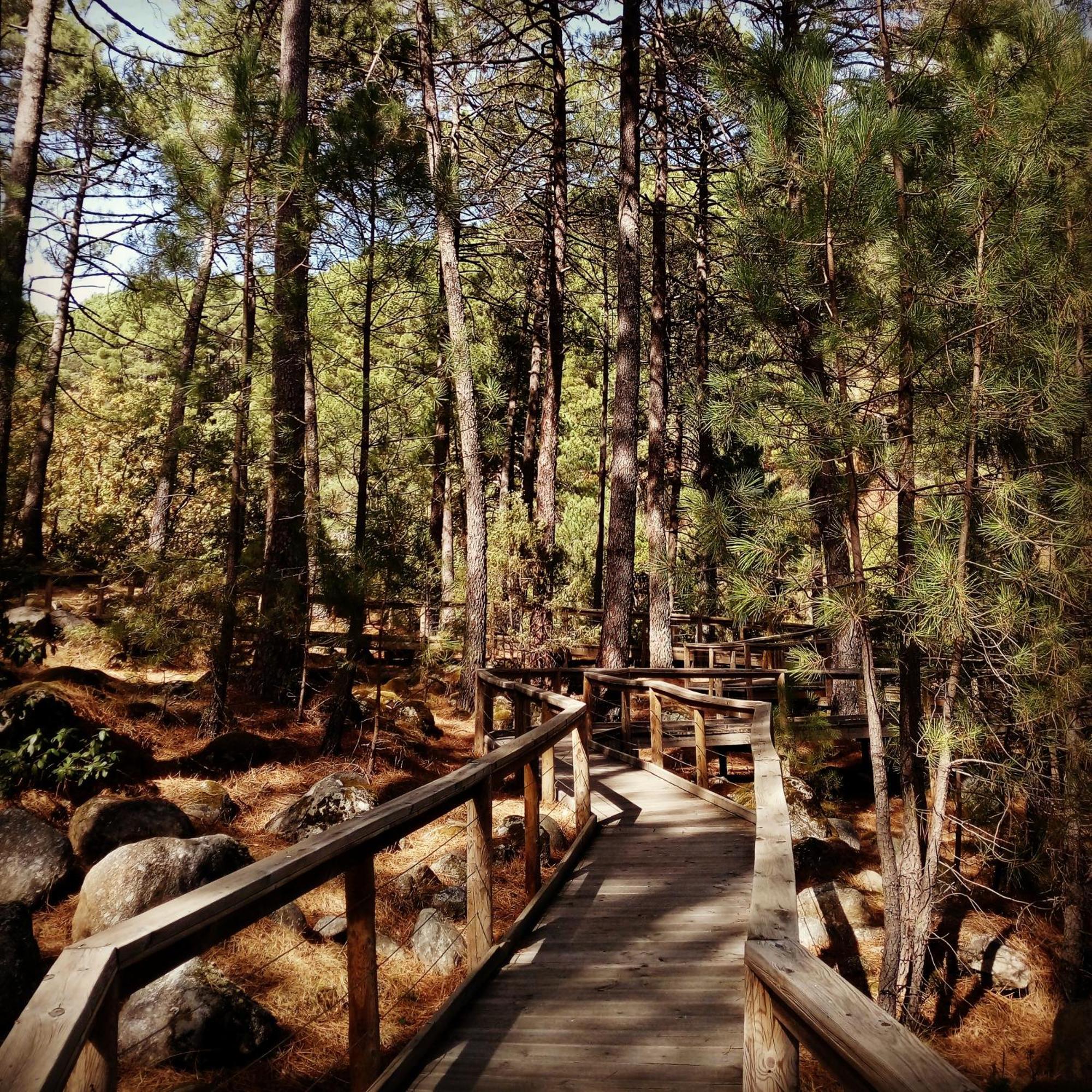 Albareilla By #Cherrygredos El Arenal  Buitenkant foto