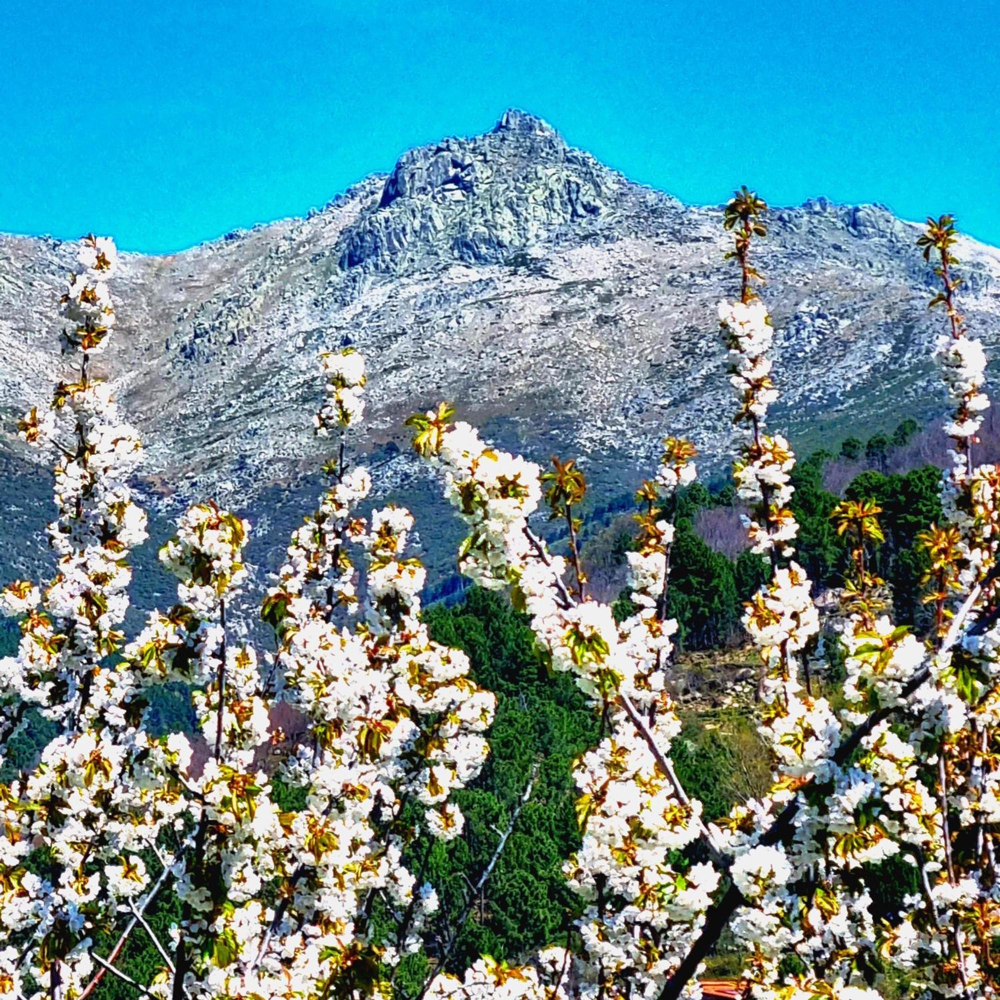 Albareilla By #Cherrygredos El Arenal  Buitenkant foto