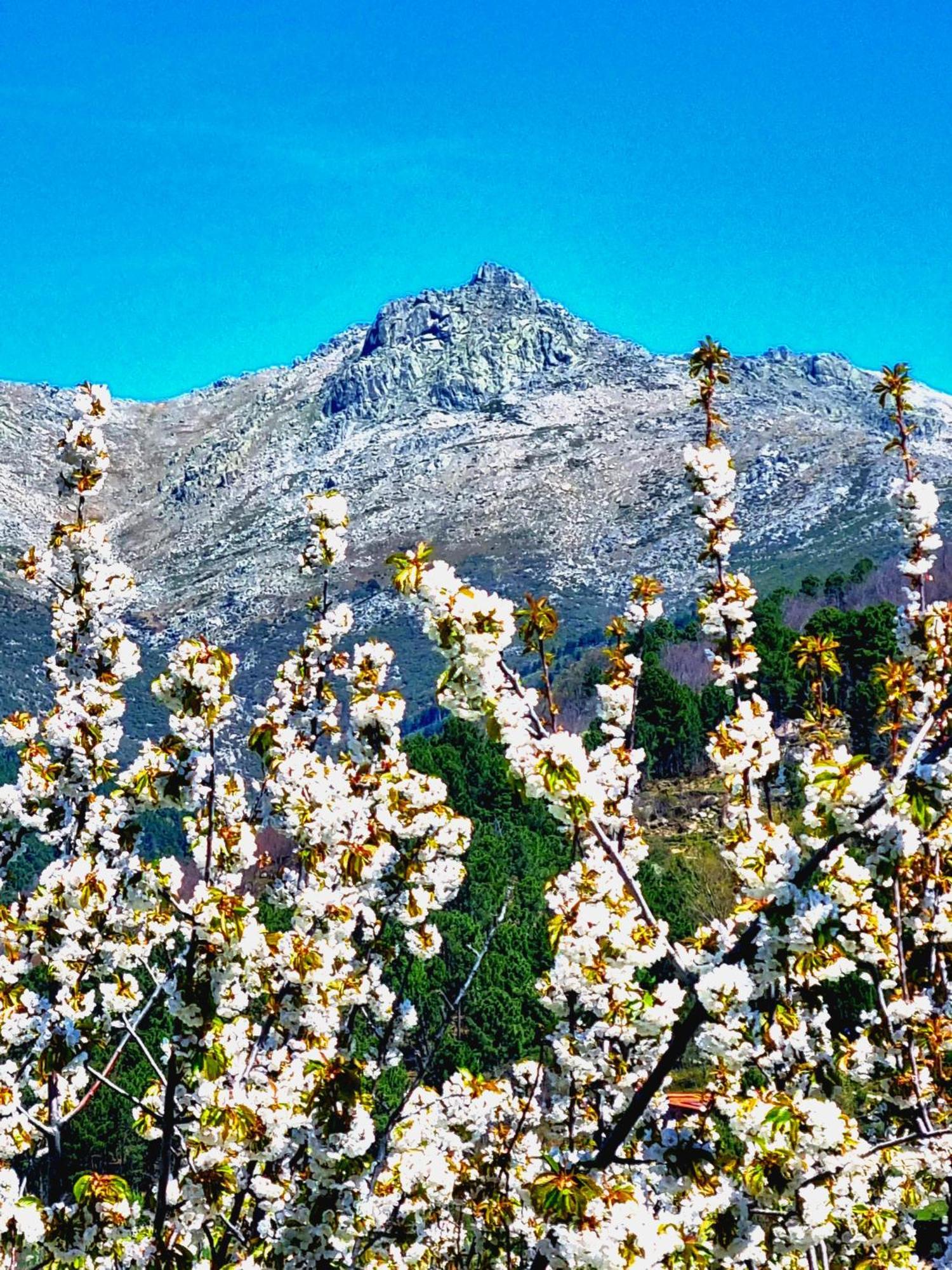 Albareilla By #Cherrygredos El Arenal  Buitenkant foto