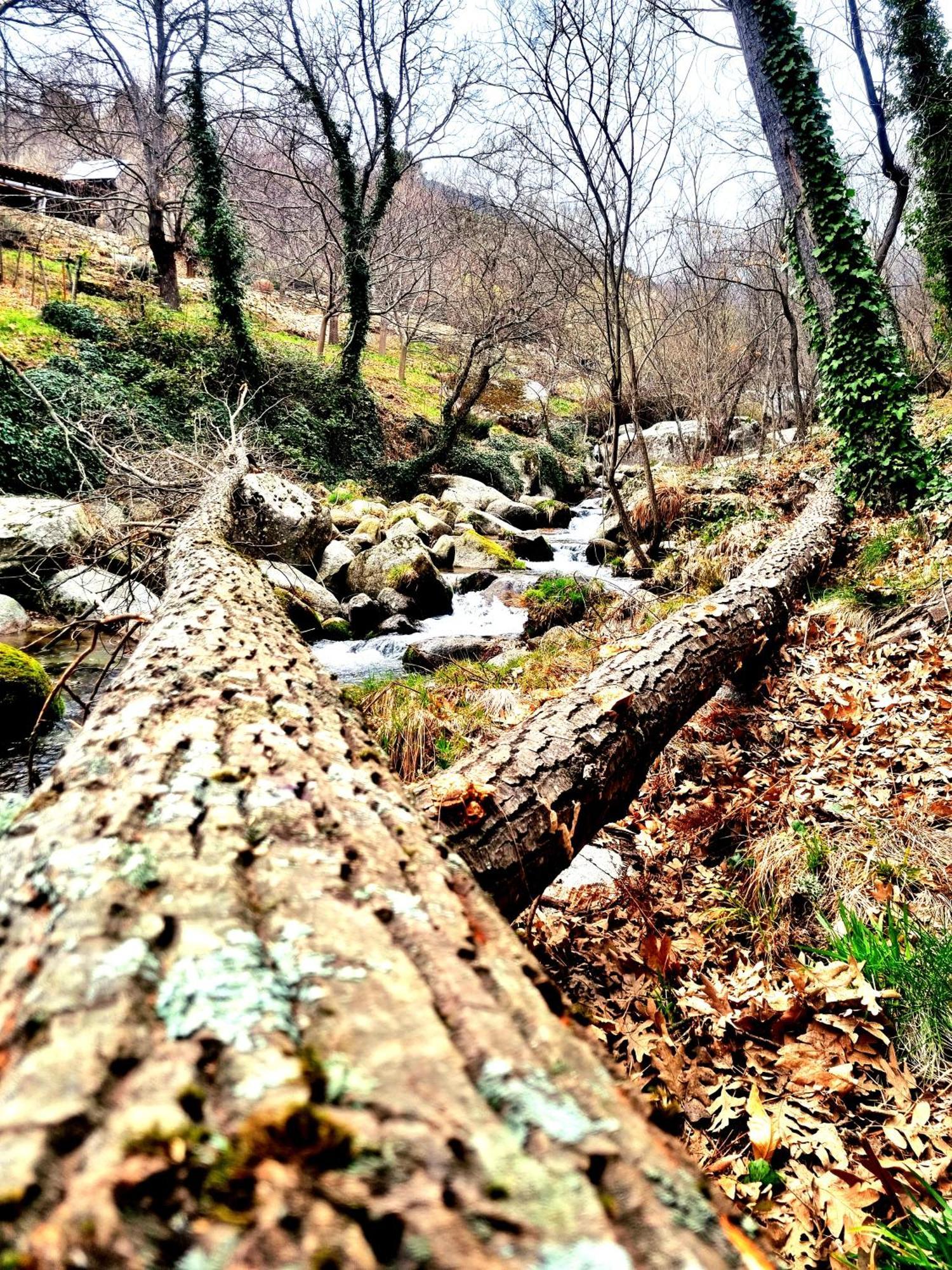 Albareilla By #Cherrygredos El Arenal  Buitenkant foto