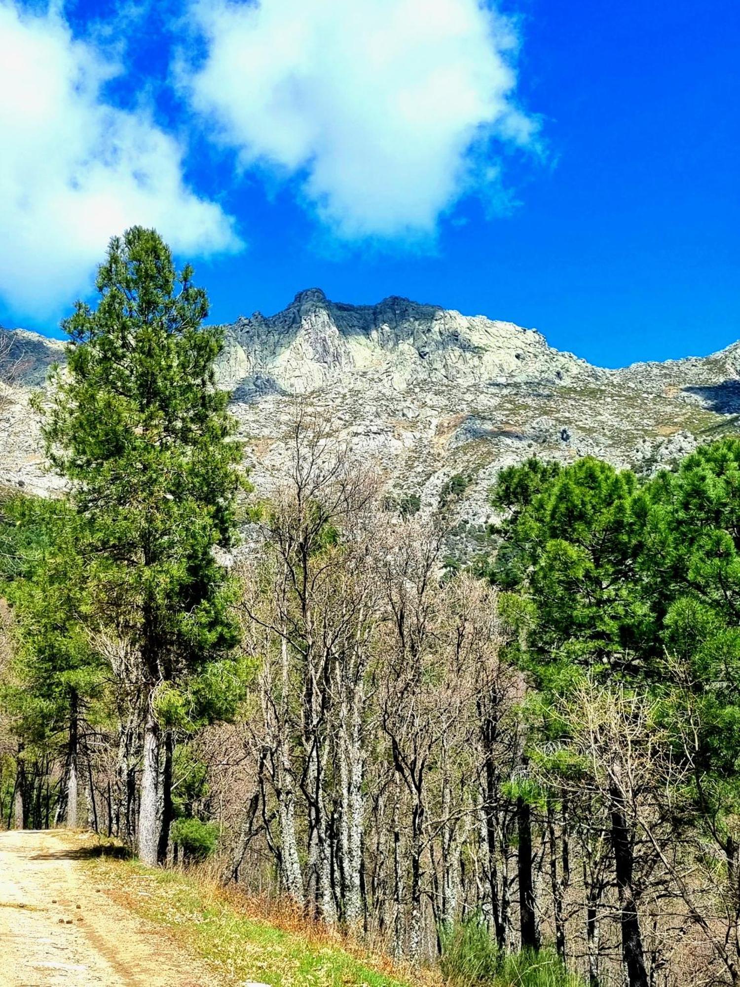 Albareilla By #Cherrygredos El Arenal  Buitenkant foto